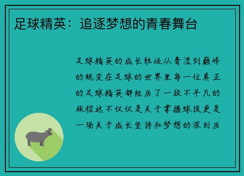 足球精英：追逐梦想的青春舞台