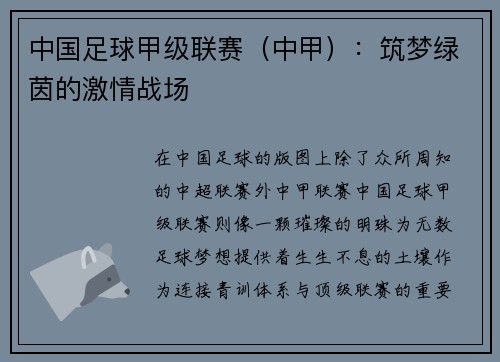 中国足球甲级联赛（中甲）：筑梦绿茵的激情战场